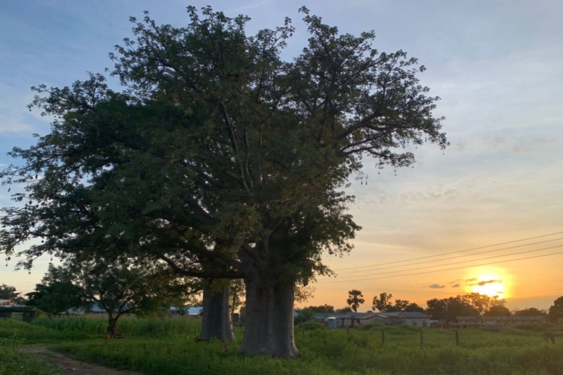 Sunset across fields and homes in rural Ghana