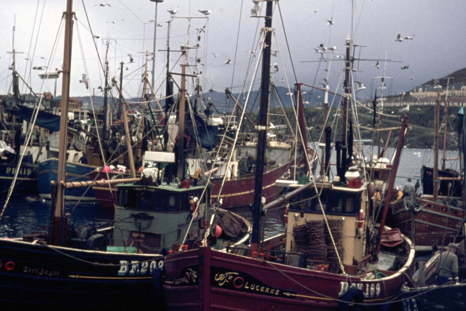 Herring fishing port in Scotland in the 1970s