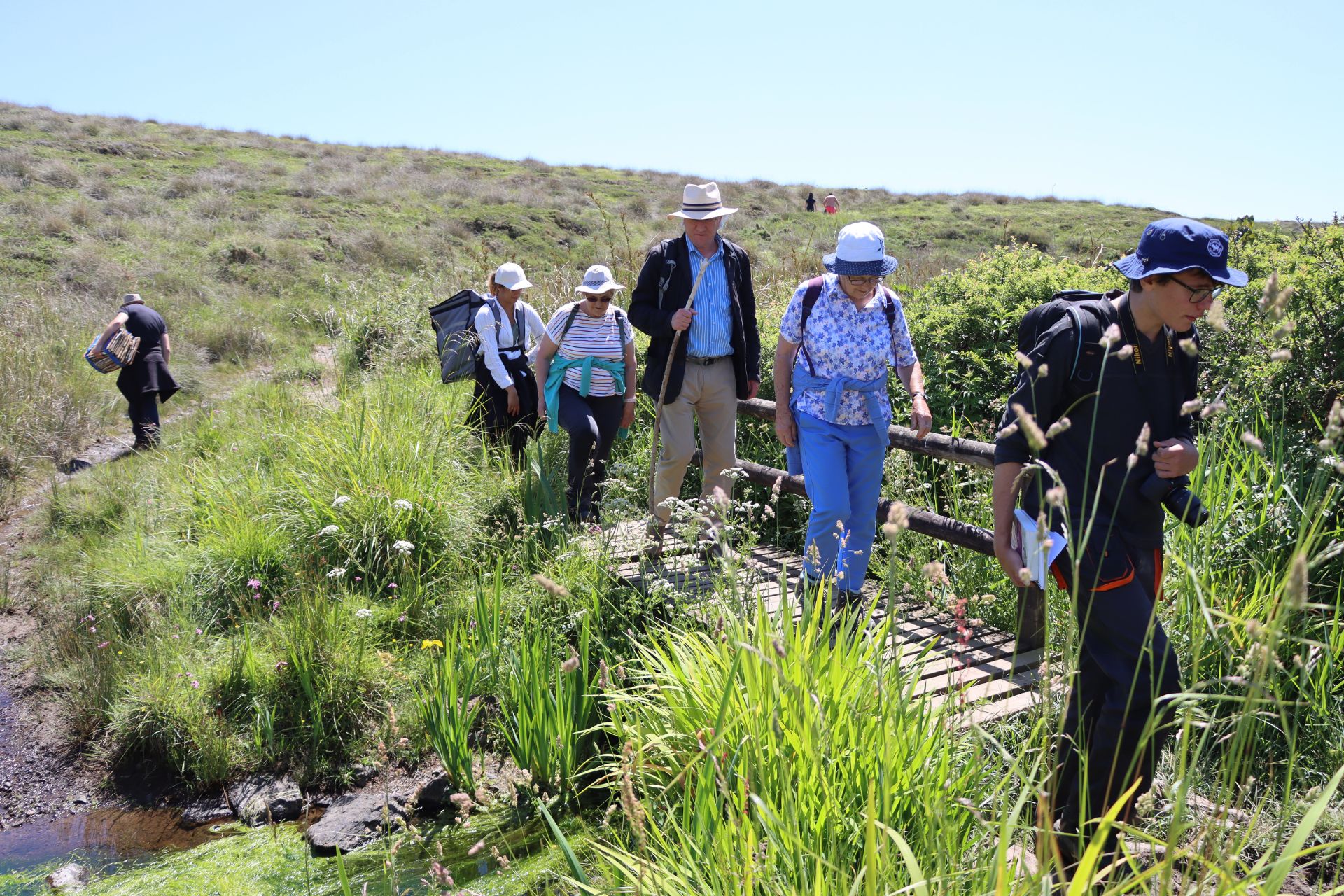 Plant collector cross a bridge over a coastal fen