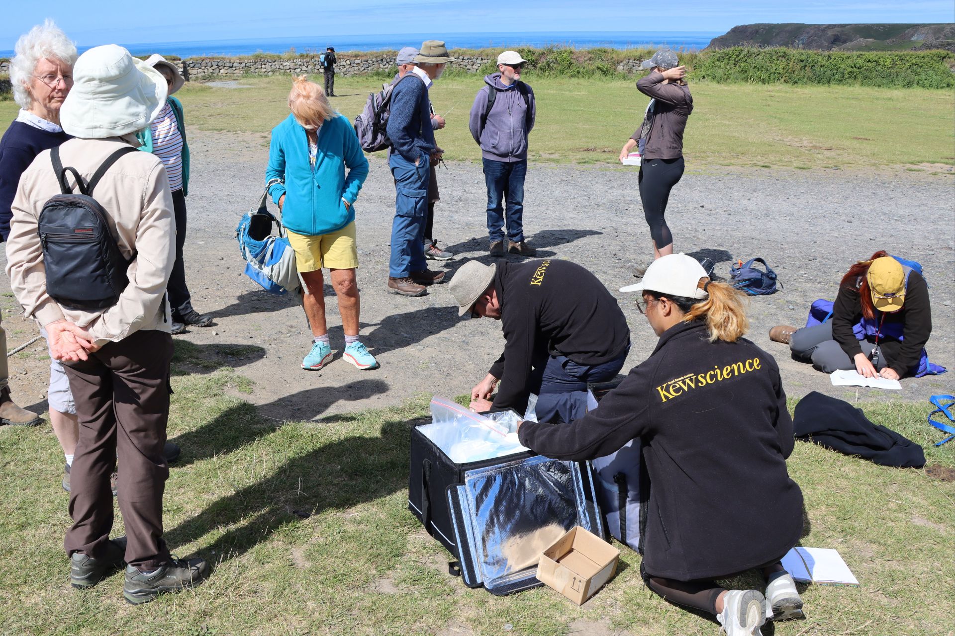 Citizen scientists assemble for plant collections in a coastal car park