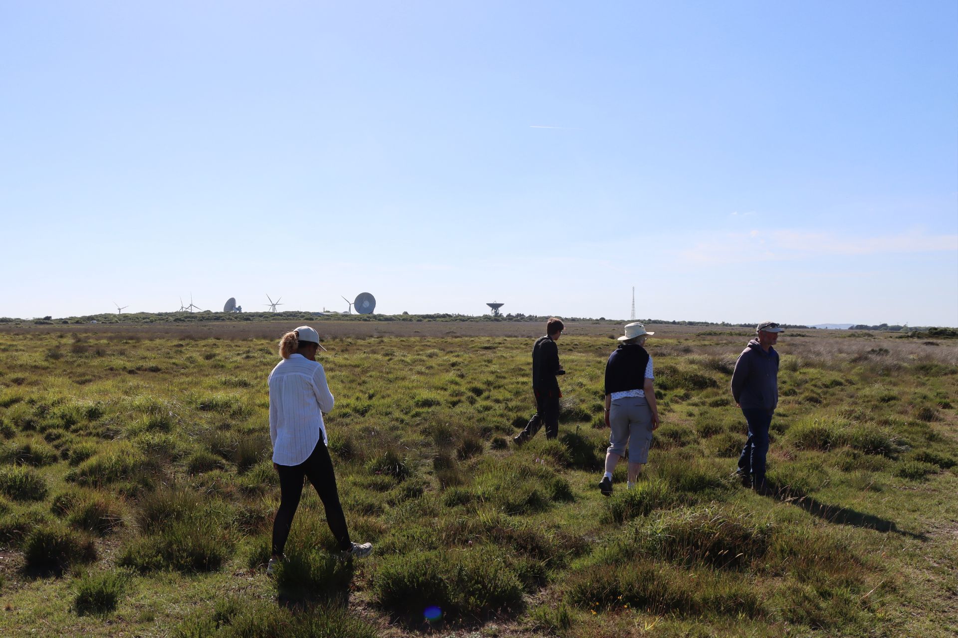 Plant collectors at dusk with Goonhilly Satellite Station in the background