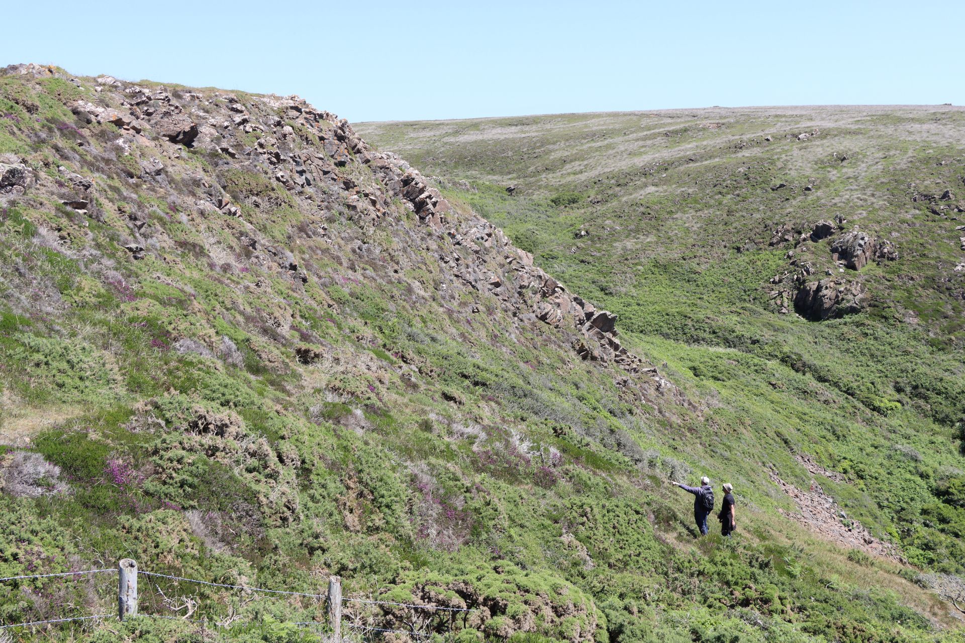 Plant collectors survey a steep granite slope