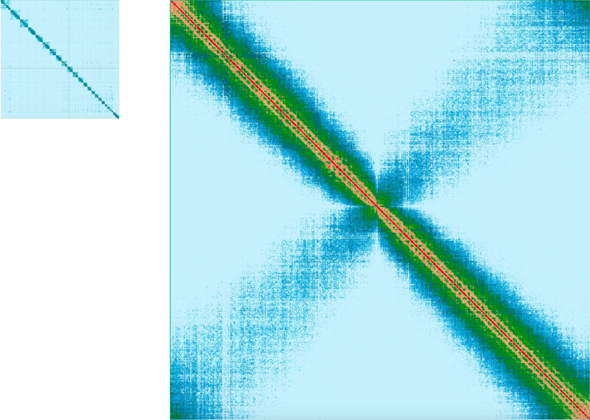 Hi-C maps comparing the size of a mistletoe chromosome with the entire human genome