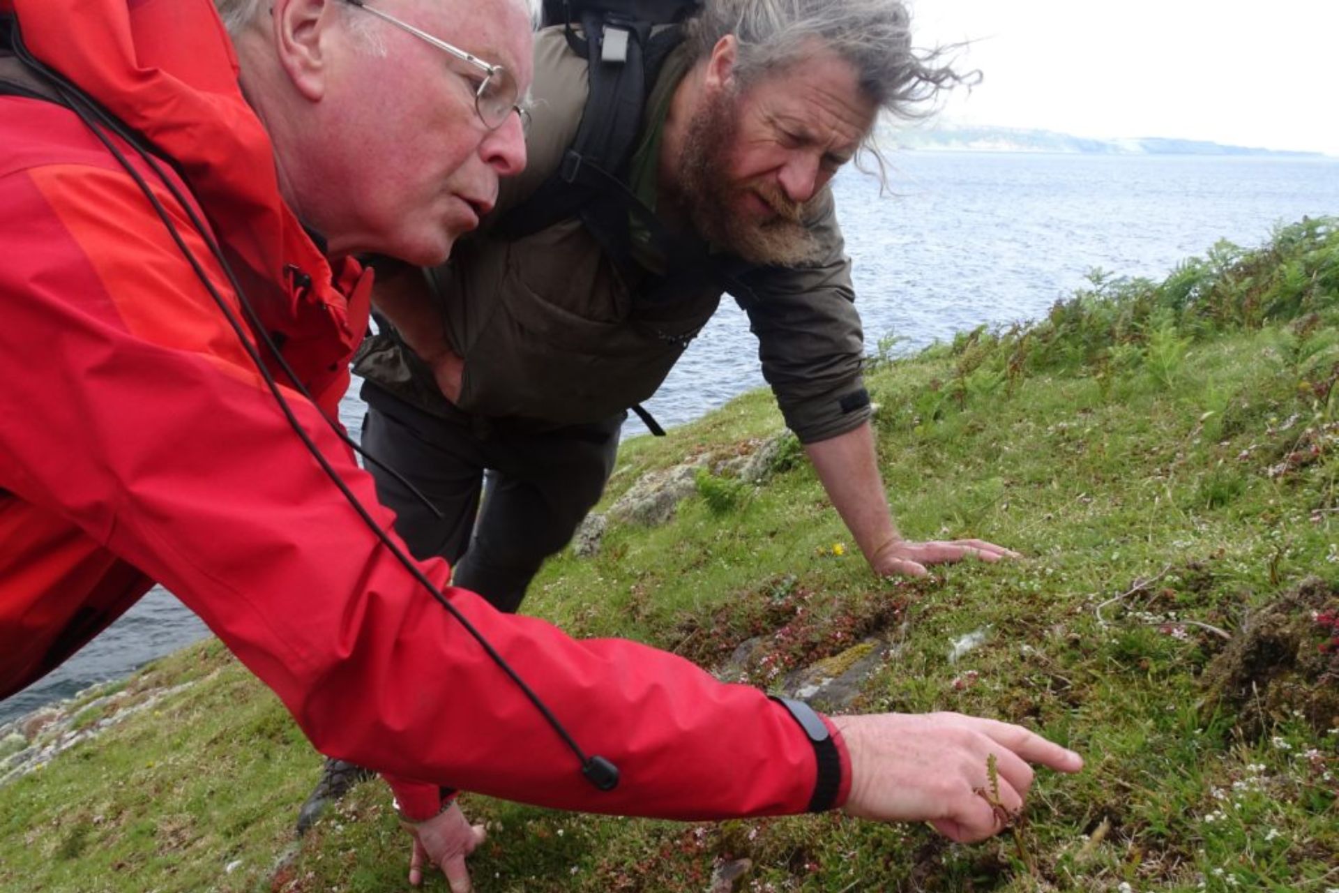 Botanists on a windswept Scottish island