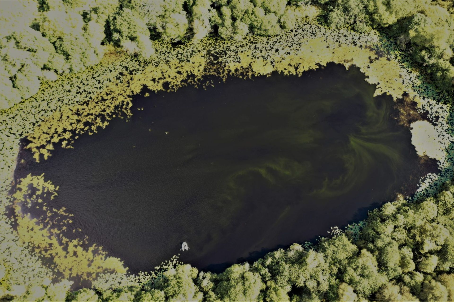 Aerial image of Priest Pot pond