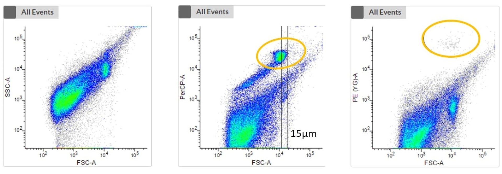 Plots showing different stains revealing different protists in green