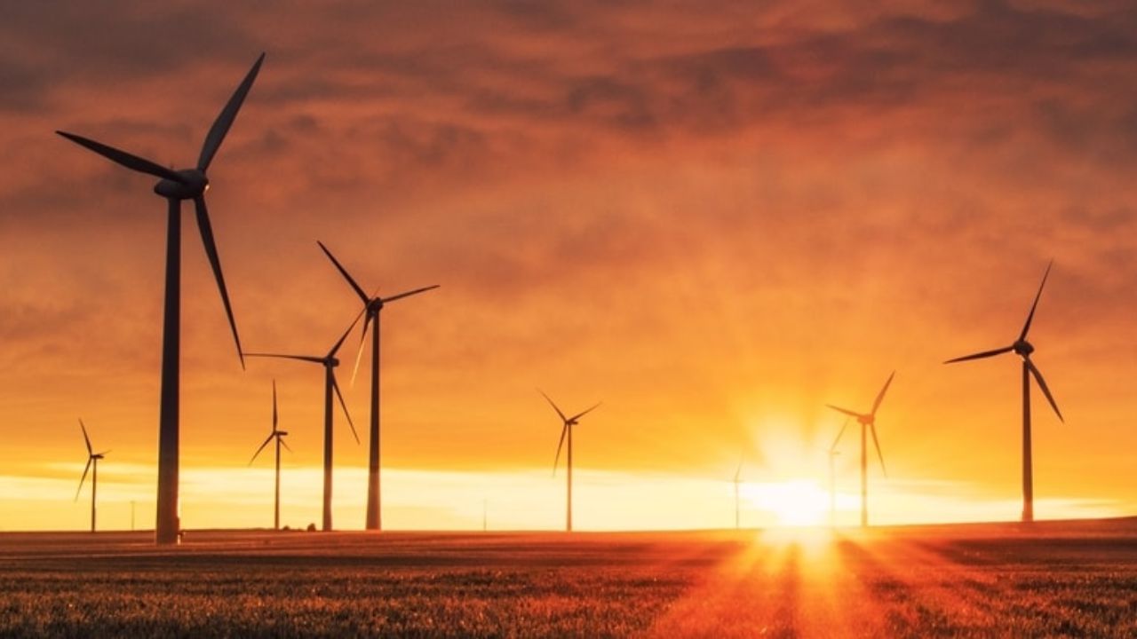 Wind turbines at dawn