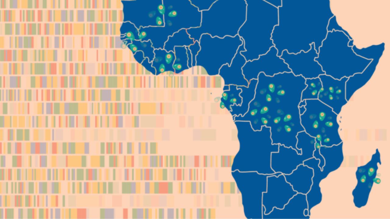 Graphic of malaria, DNA and Africa map