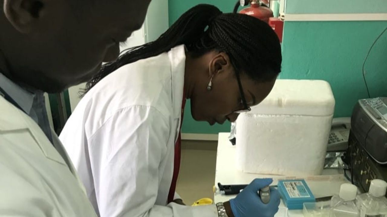 Malaria researchers in Mali laboratory