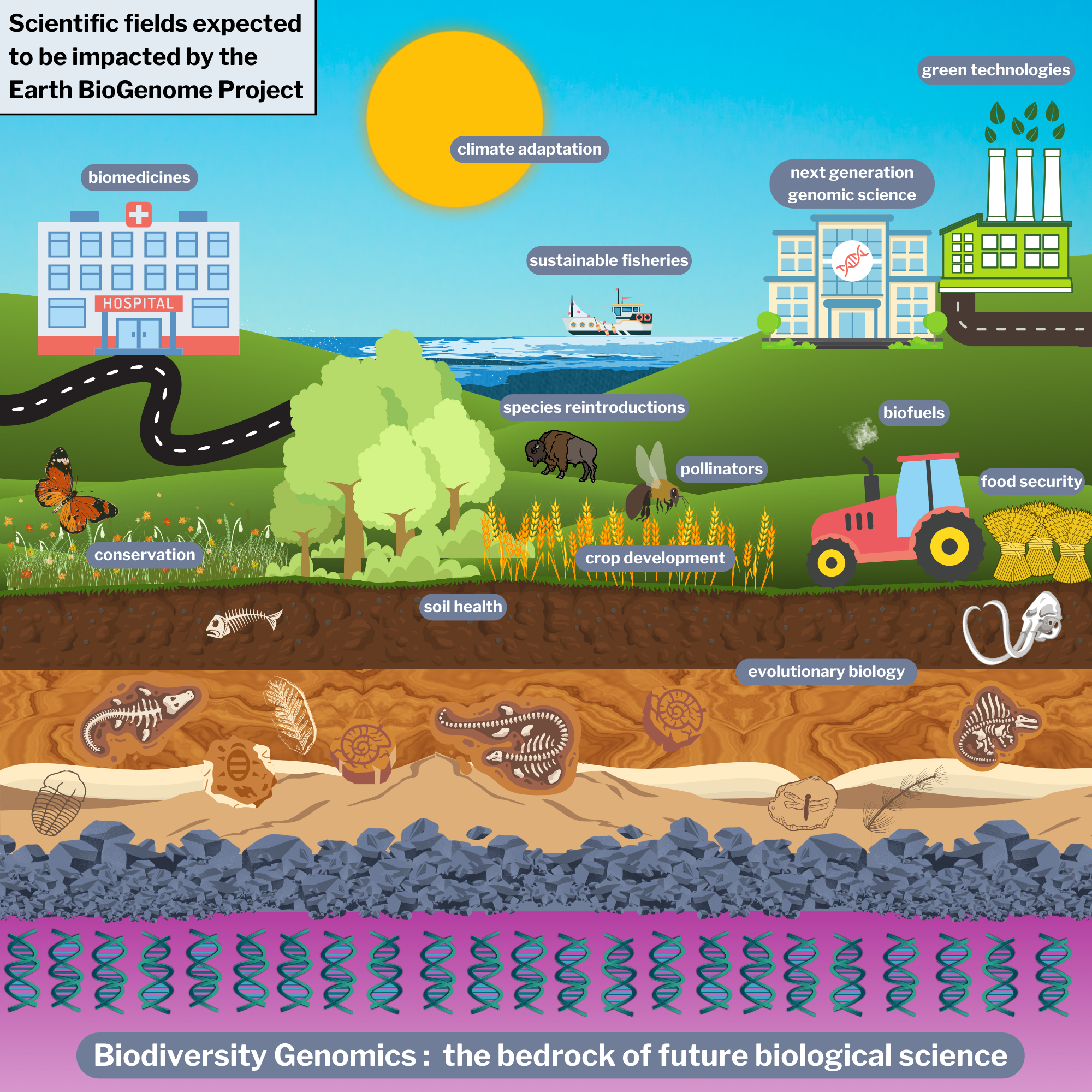 Landscape depicting areas where reference genomes can be utilised, including: biomedicines, climate adaptation, sustainable fisheries, next-generation genomic science, green technologies, species reintroductions, conservation, pollinators, crop development, soil health, food security, biofuels, and evolutionary biology.